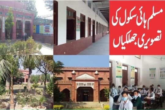News Image 1